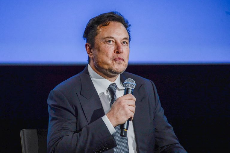 Elon Musk, Tesla Model y, goedkoper